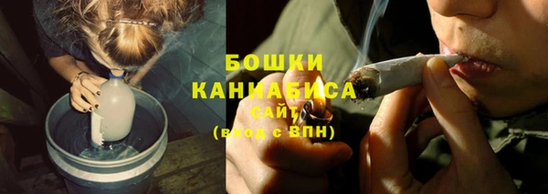 мдпв Богородск