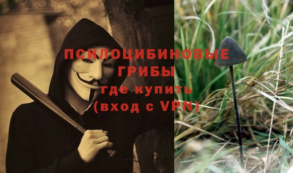мдпв Богородск