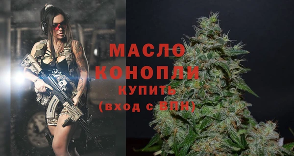мдпв Богородск
