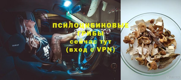 первитин Богородицк